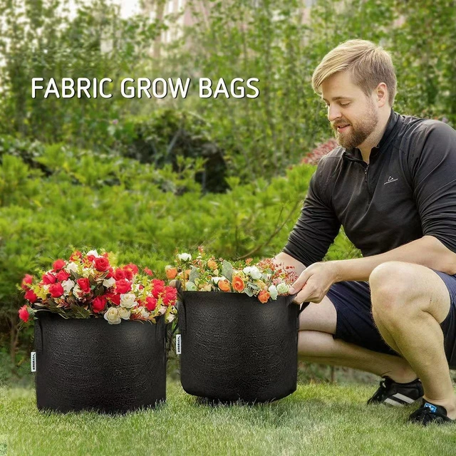 247Garden 1-Gallon Tall Transplanter Fabric Pot/Tree Grow Bag