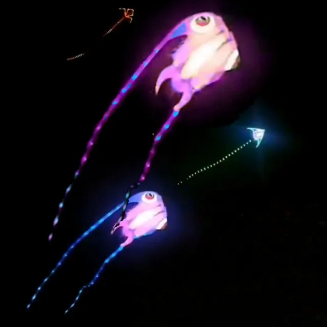free shipping led trilobites kite for adults kite string line windsurfing papalote outdoor toys sport professional kite koi carp 1