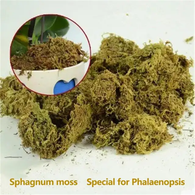 Sphagnum Moha Hidratáló Táplálkozás Szerves Műtrágya Védje Az Orchidea Zamatos Növényi Gyökereket Diy Virág Edény Otthoni Kert - Image 3