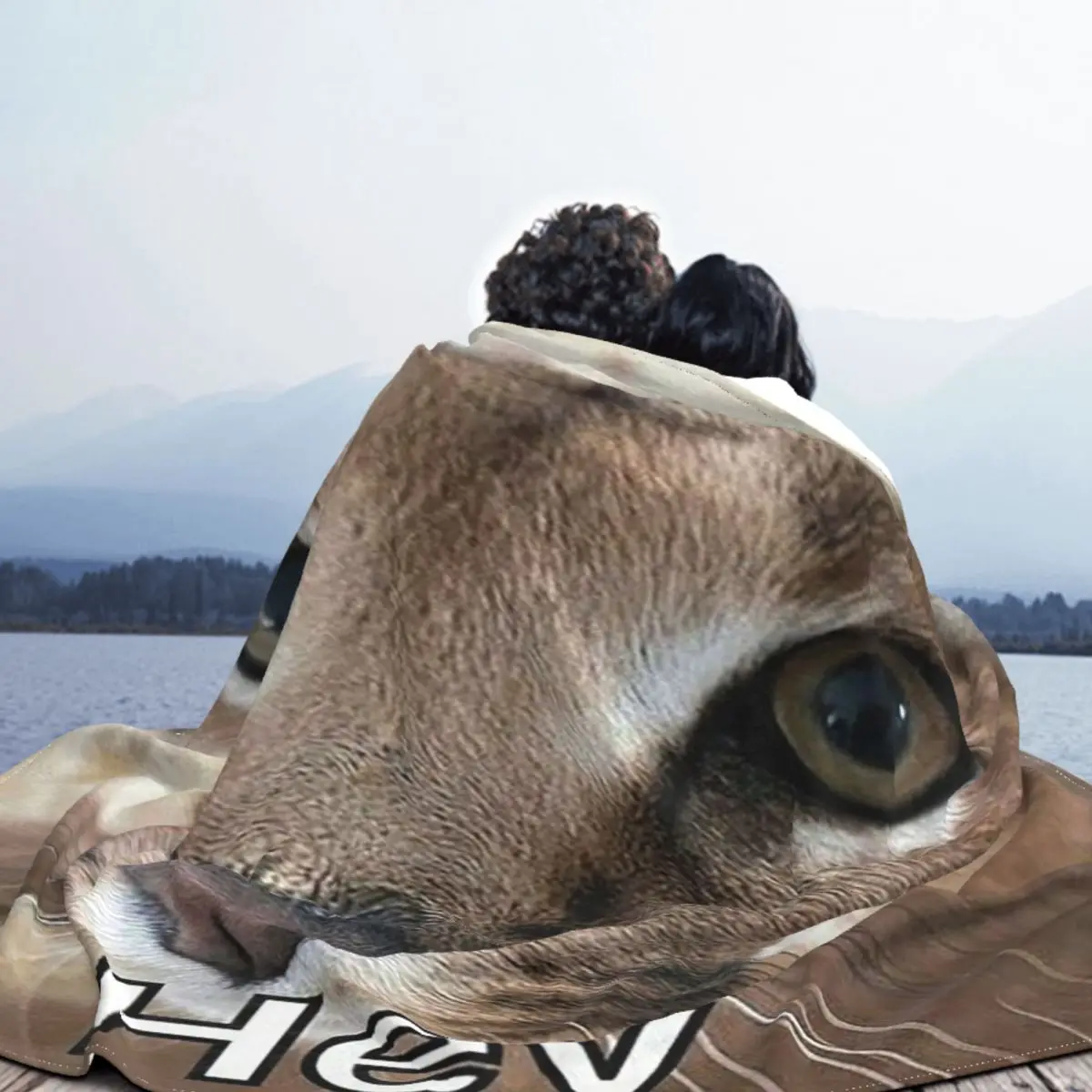 ū �÷��� ���� ������ ���, ���� ��� ���� ���� ħ�� �� �ٱ�� �淮 ������ ���