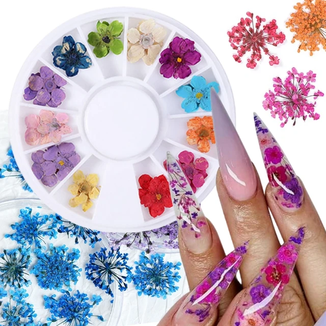 3d Natural Dry Flower Nail Charm Colorful Embossing Craft Petal Parts  Supplies For Diy Dried Nail Flowers Uv Polish Decoration - Rhinestones &  Decorations - AliExpress
