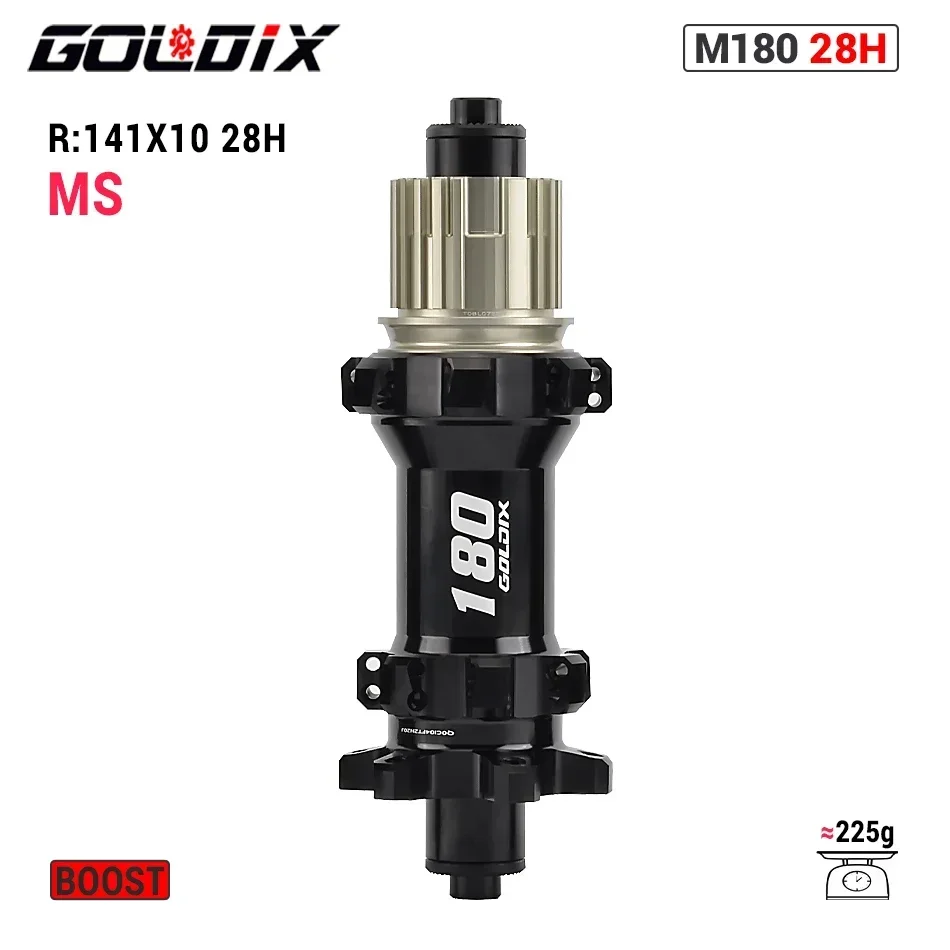 Rear MS 141X10