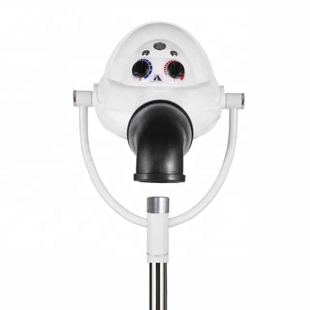 

Ionic Stand Dog Dryer Hot Dog Hair Dryer with Negative Ion