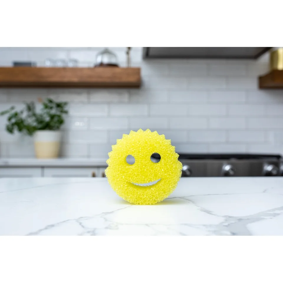 Scratch Free Dual Sided Kitchen Cleaning Sponge