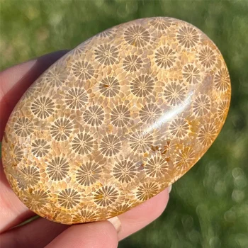 Coral Jasper Palm Stone 1