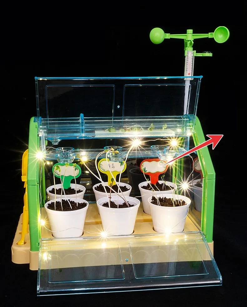 Activity Plant Children'S Planting Homework Experience The Fun