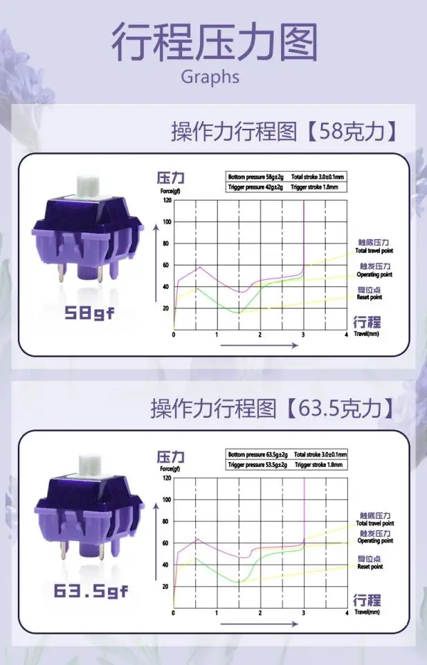 dsc-products