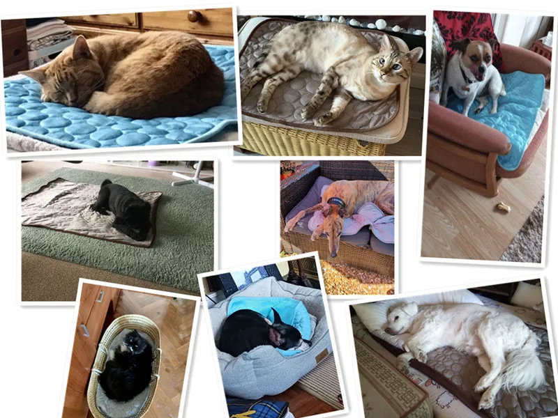 Self-cooling Pet Mat For Dogs And Cats Breathable Summer Pad_voghion.com