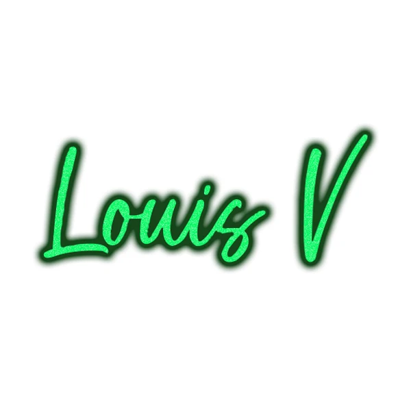 Louis V Store