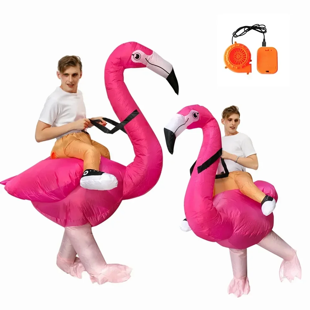  ũ öְ  ڽ ڽƬ, ҷ Ƽ ڽ, ڽƬ   ִ ִϸ̼  Ʈ,   