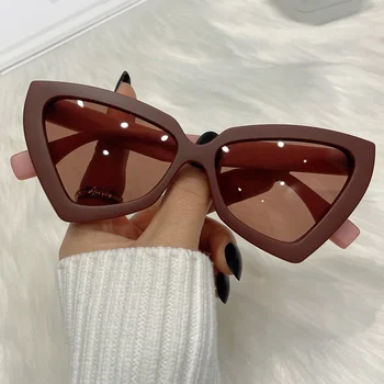 Cat Eye Sunglass Trendy 1