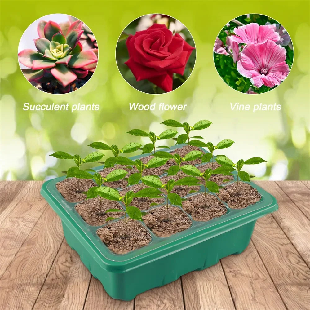 Seed Starter Tray Seed Starter Tray Box Plant Seedling Pots Gardening Sowing Tray Tools Hydroponics Growing System Indoors 12 Cells Hole 1PC