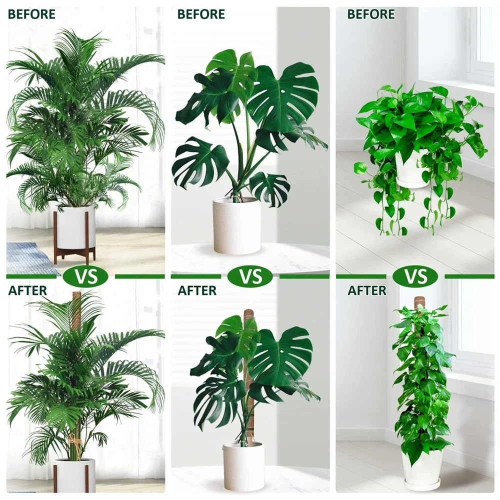 1PC 30/40/50cm Moss Pole for Indoor Climbing Plants Creepers to Grow Upwards Plant Support with Garden Ties
