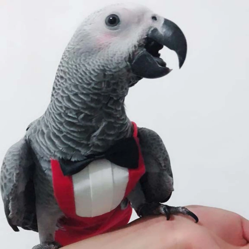 Bird Diaper Flight Suite Protective Parrot Nappies with Waterproof Inner Layer Urine Wet Suit with Bowtie for Birds B03E bird accessories