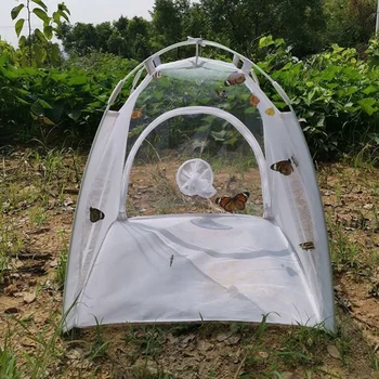 Collapsible Insect Mesh Cage 1