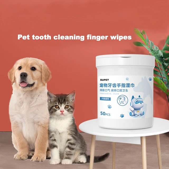 간편하고 효과적인 애완동물 치아 관리: 일회용 물티슈 소개