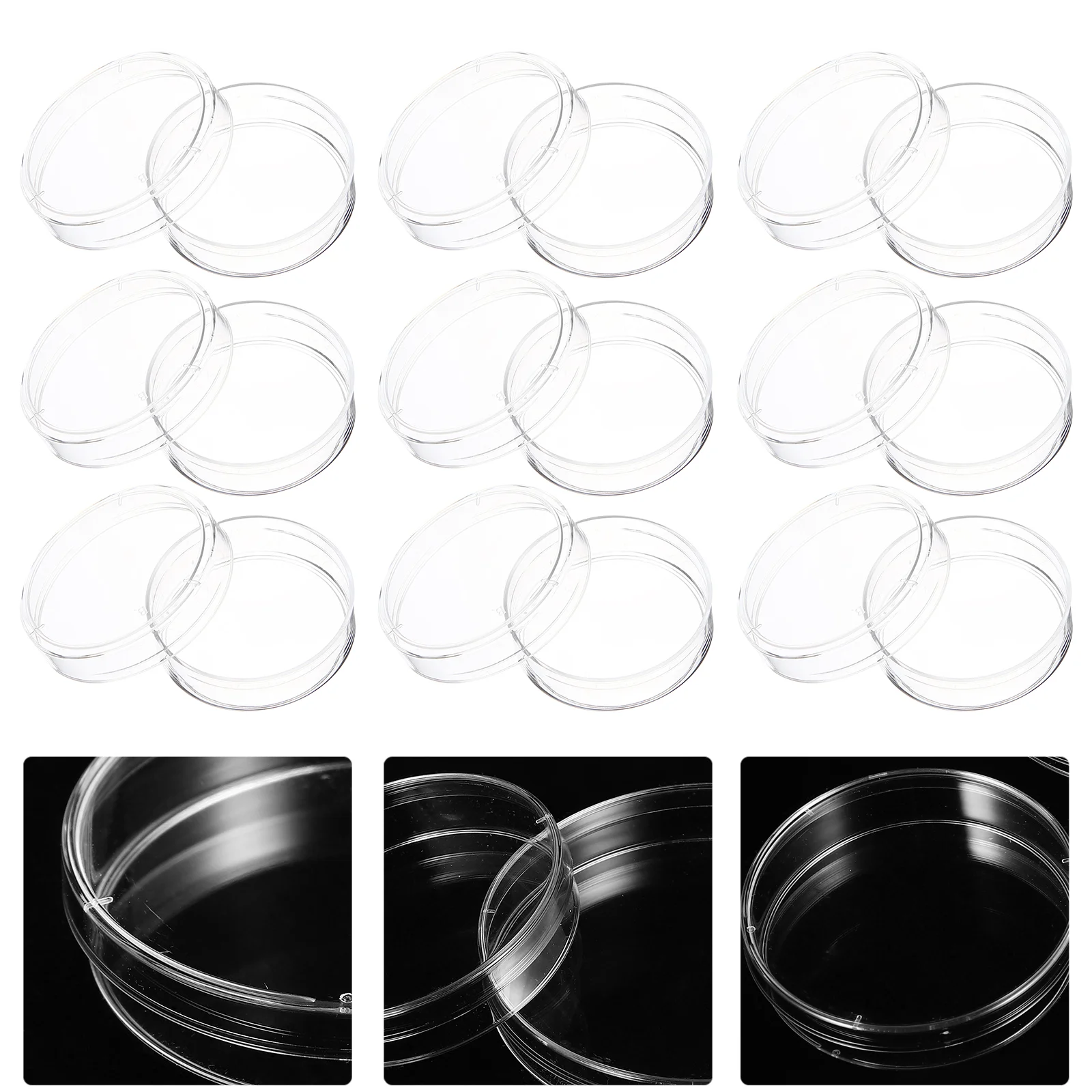 

30 Pcs Culture Plate Dishes with Lids for Science Mushroom Grid Tissue Plastic Agar Petri Child