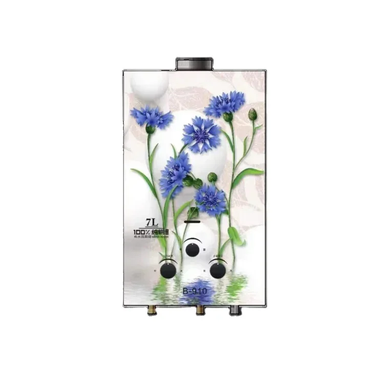 Winter Ice BathManufacturer Hot Sell Item Instant Tankless Type 6/7/8/10/12 Liter Instant Battery Ignition LPG Gas Geyser Water