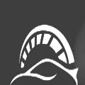 Newtudy Car Accessories Store