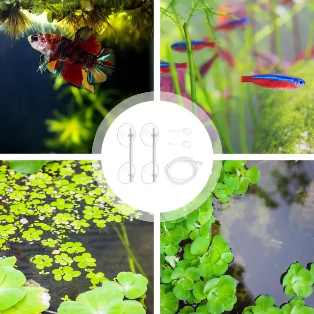 Anelli Per Acquario - 2 Mangiatoie E 5 Supporti Piante Galleggianti, In PVC Ed EVA