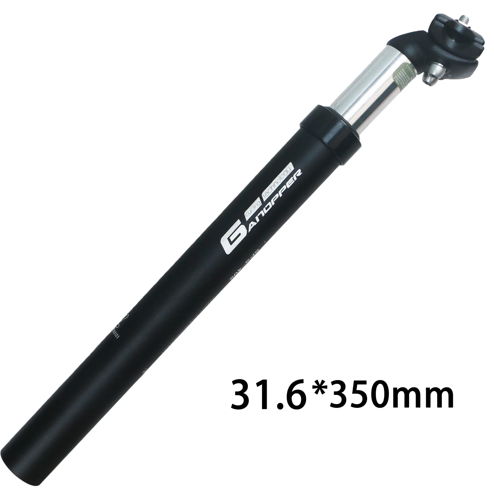 31.6 black head