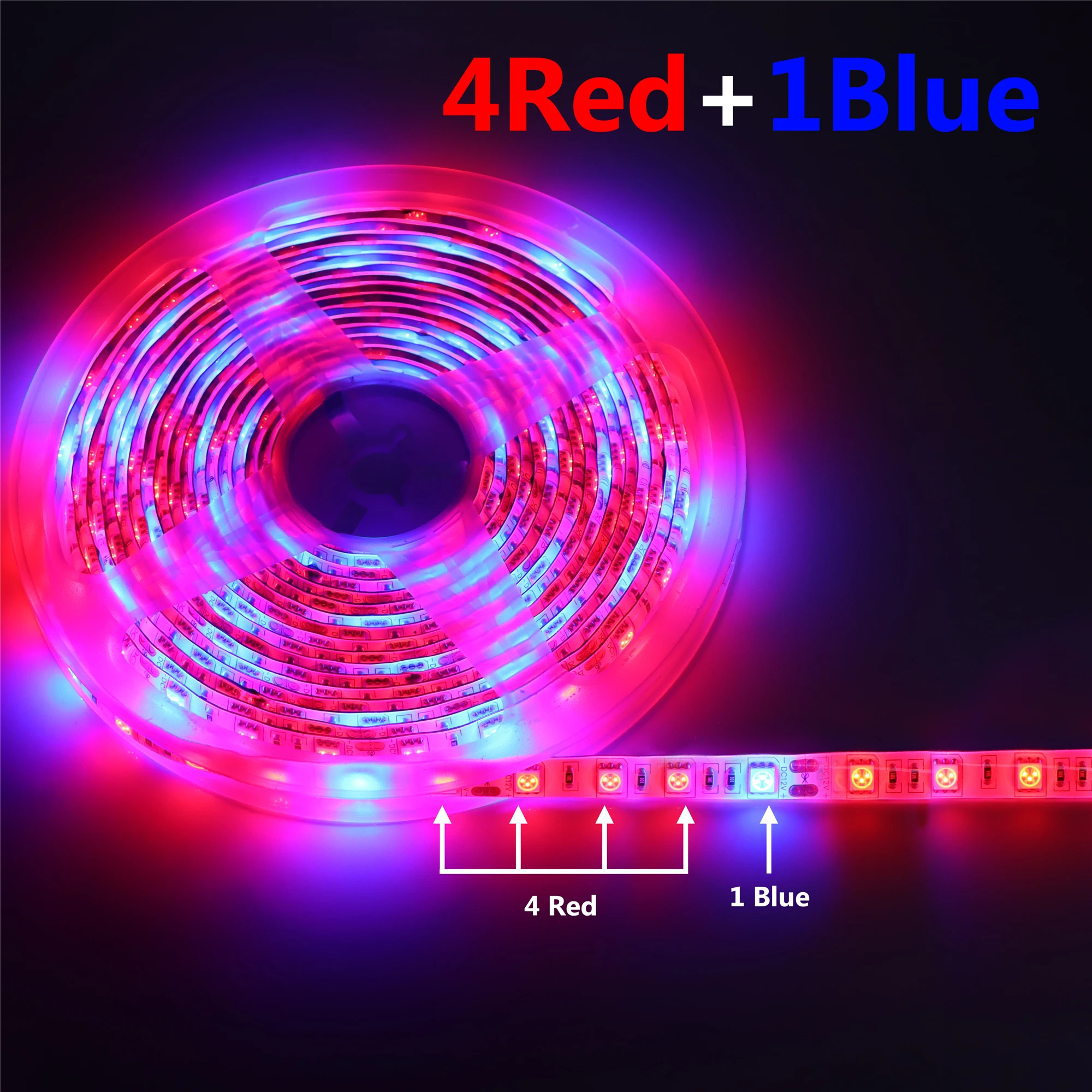 4 Red 1 Blue