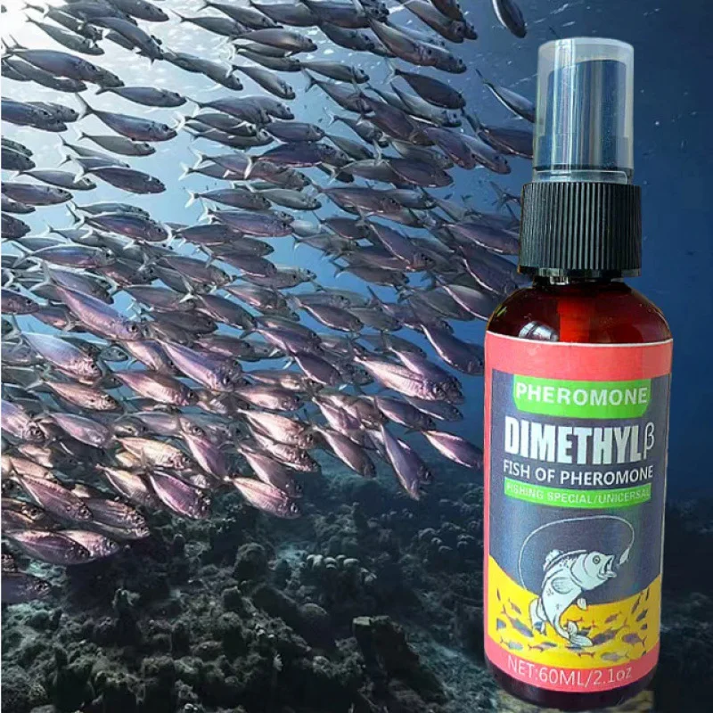 Attractant spray phéromones pour pêche crucian et hareng - appât liquide puissant rivière sauvage
