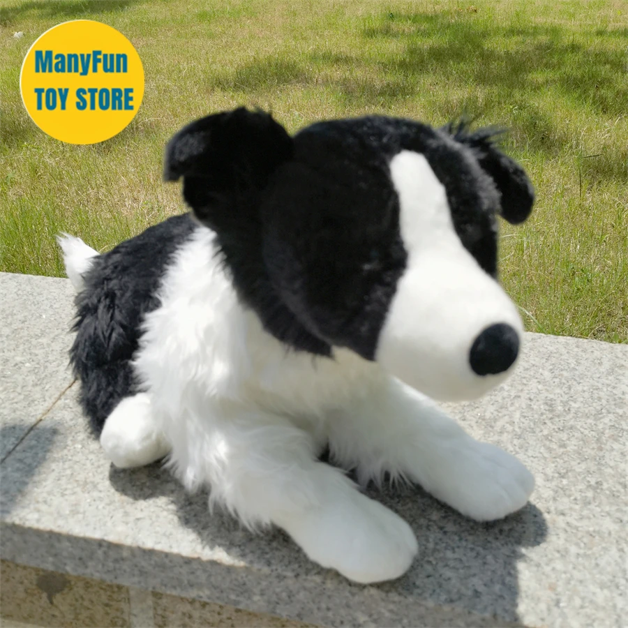 S2156ac76437e4fc3be7ad7a60cece4bbl - Border Collie Gifts