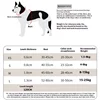 Three-piece Set Of Pet Dog Chest Strap Vest Dog Leash Explosion-proof Collar Outdoor Supplies Small Dog Walking Leash 2