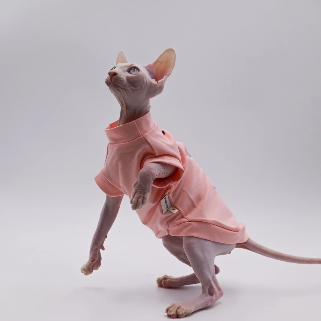 DUOMASUMI Sphynx Cat Cotton Soft Summer Thin Hairless Cat Clothes Breathable Anti-drop Dress