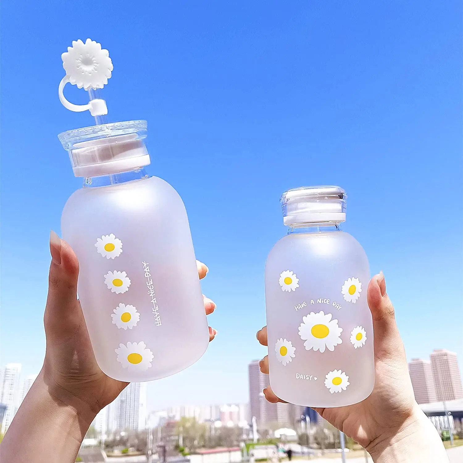 Ins Simple Fashion Small Daisy Water Bottles Summer Portable Leakproof  Frosted Glass Cup Cute Water Bottle For Girls With Rope - AliExpress