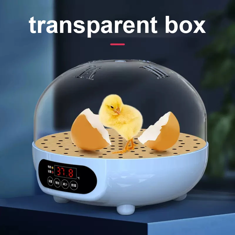  ڵ ȸ ȭ δ   ߶  ݷ  ȭ ͳ, ̴  ť 6 , 220 V, 110V