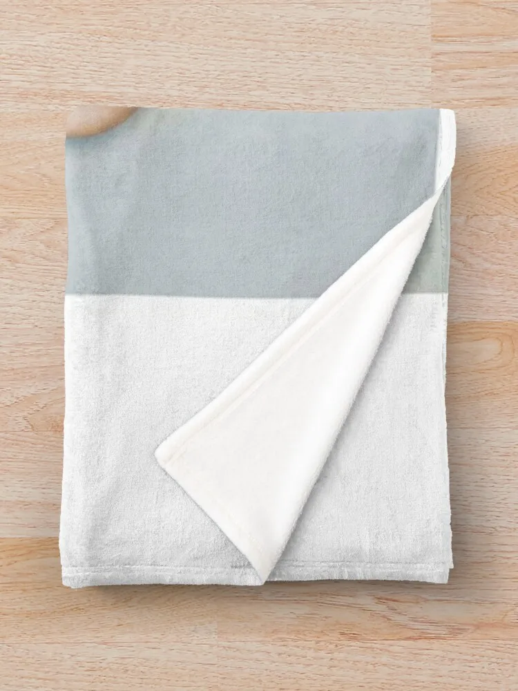 ������ �ִϽ��� 04 �� ���, ������