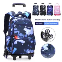 Large Capacity Spine Protection School Bag Set with Pull Rod for Primary And Middle School Boys And Girls Fashionable Nylon Back