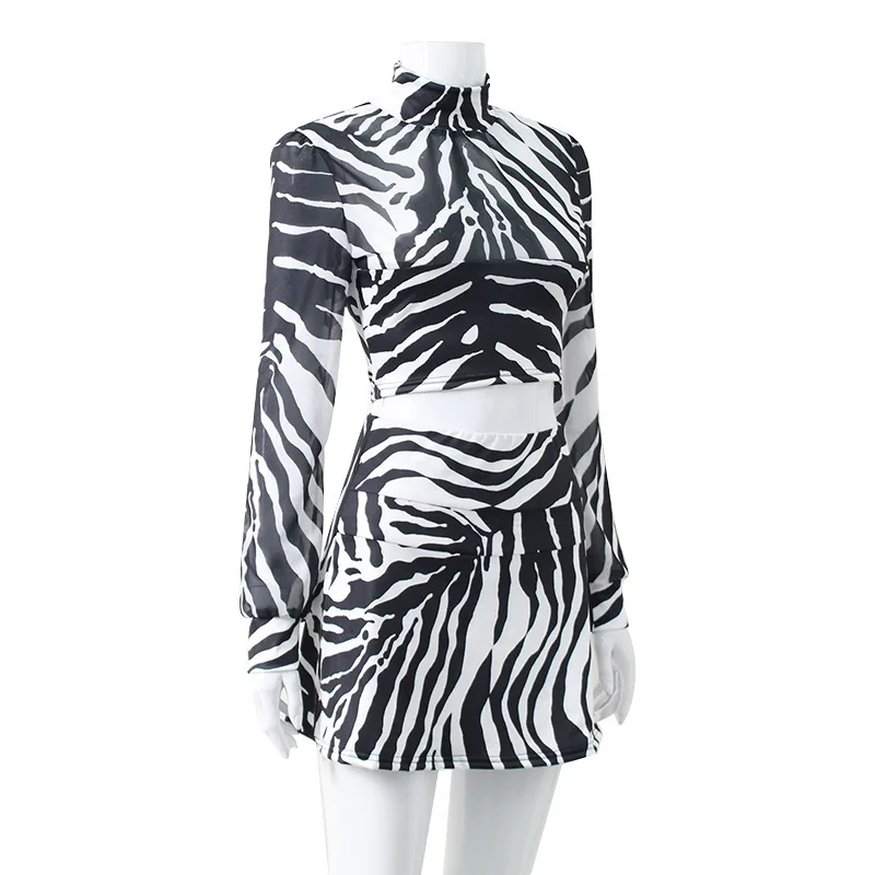 SKMY Women Clothing Summer New Turtleneck Sexy Mesh Two Piece Set Zebra Print Long Sleeve Crop Top Skirts Sets Night Club Outfit