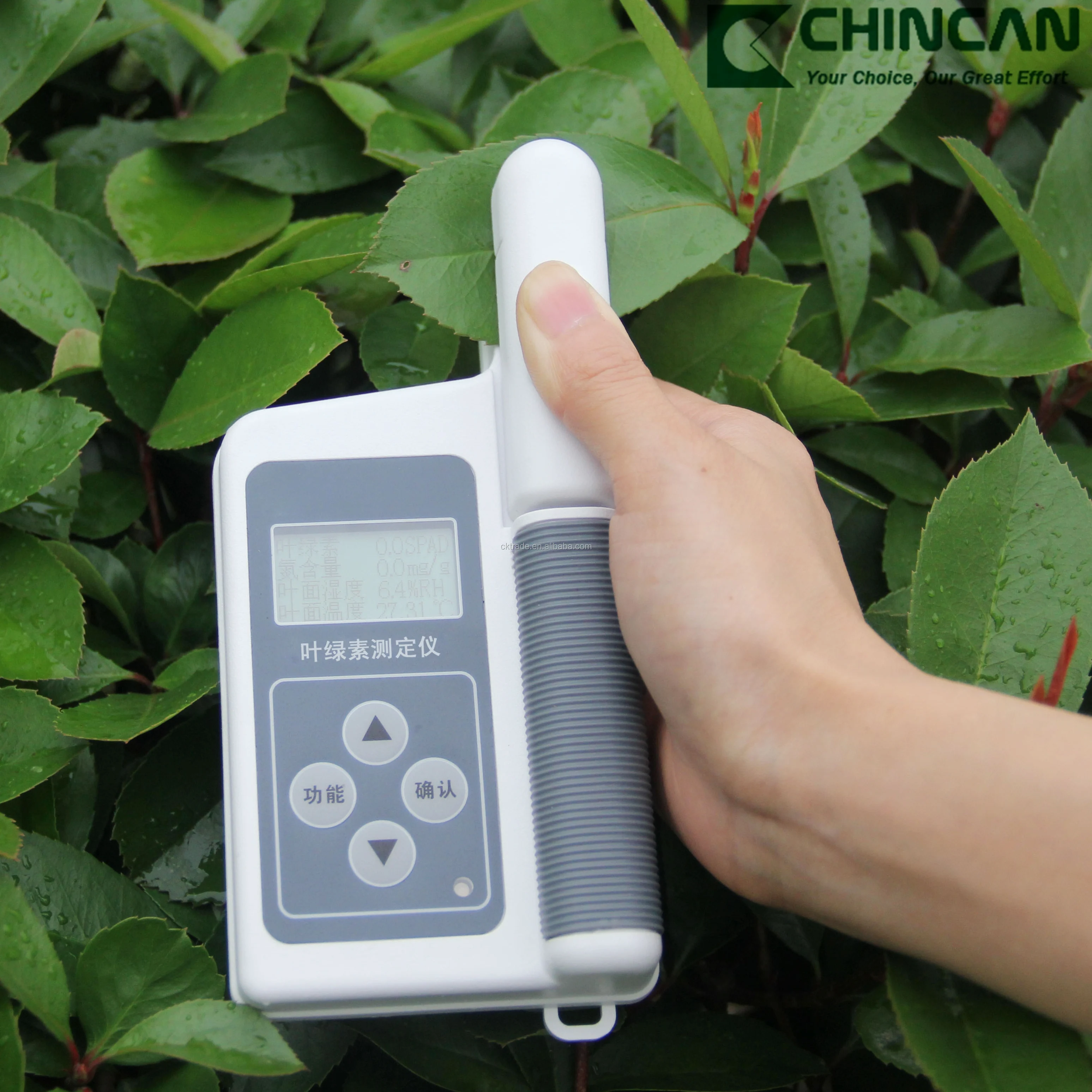 Compteur de chlorophylle numérique à main, TYS-B, avec écran LCD