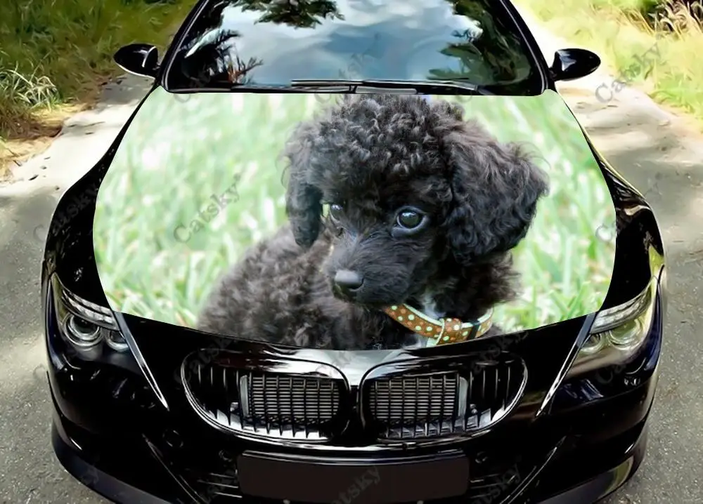 

Animal Black Poodle Dog Car Hood Vinyl Decal Stickers Wrap Vinyl Film Engine Cover Decals Sticker Car Hood Side Cover Decal Film