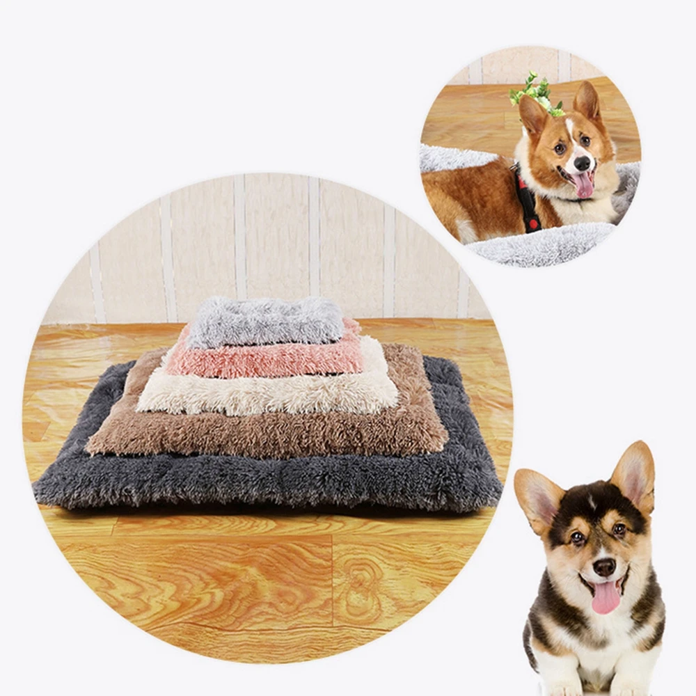 S216b5e9231a845e4a759d057c9acd39et