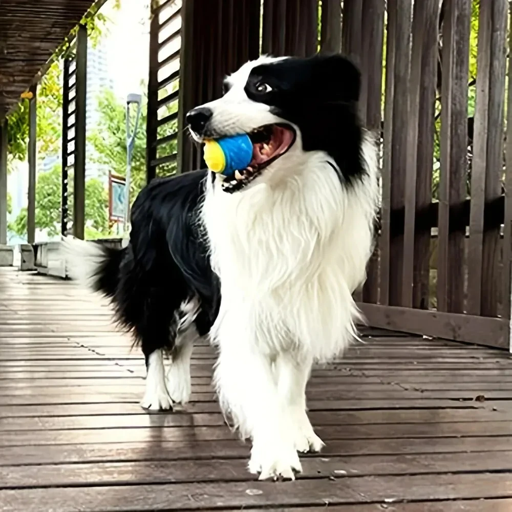Durable Dog Chew Ball Toy 4