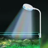 USB-Plug Aquarium Mini Lamp LED Fish Tank Colored Lights Accessories Fishbowl Landscaping Reptile Animals Crap Goldfish Turtle 3