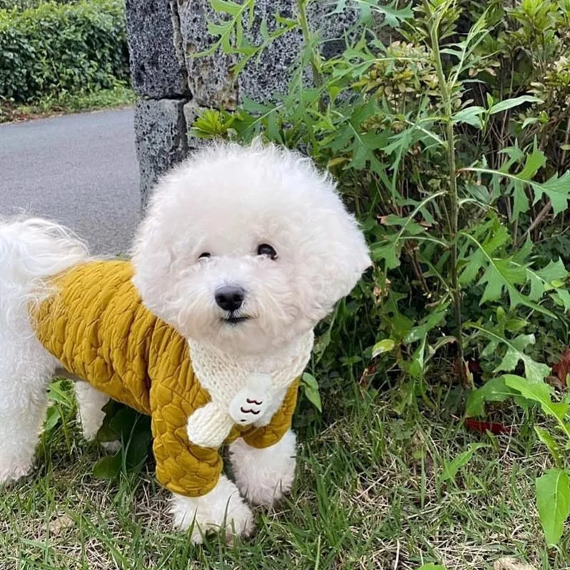 단색 애완동물 조끼 강아지 코트, 강아지 카디건, 요크셔 두 다리 옷, 테디 의류, 가을 및 겨울, 신상
