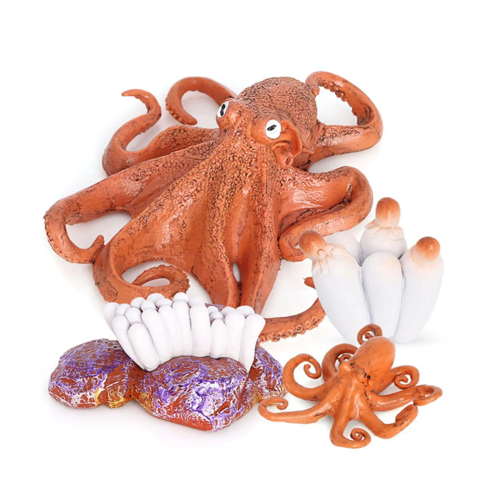 문어 성장주기, 동물 성장주기 어린이 교육을 위한 생물학적 모델 곤충 테마 파티 호의