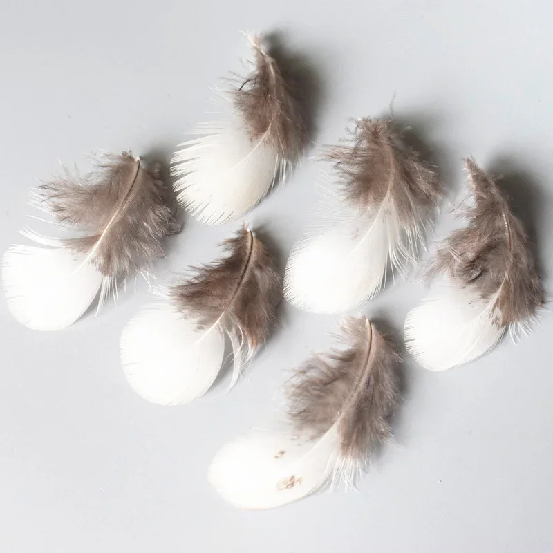 Peacock Feather Decoration Pheasant Feathers Natural Feathers Craft Feathers 10-500pcs Beautiful Natural Peacock Feather Pheasant Feather S Plume Jewelry Christmas Holiday Decoration Optional