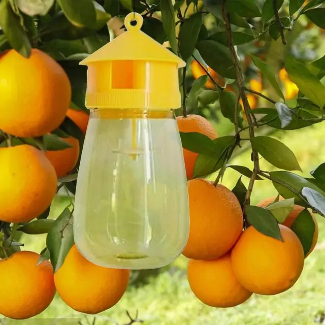 Fly Csapda Újrahasznosítható Hornet A Kerti Teraszokhoz Időjárásálló Ács Disznók Fogók Stabil Pajta Legelőhöz - Image 5