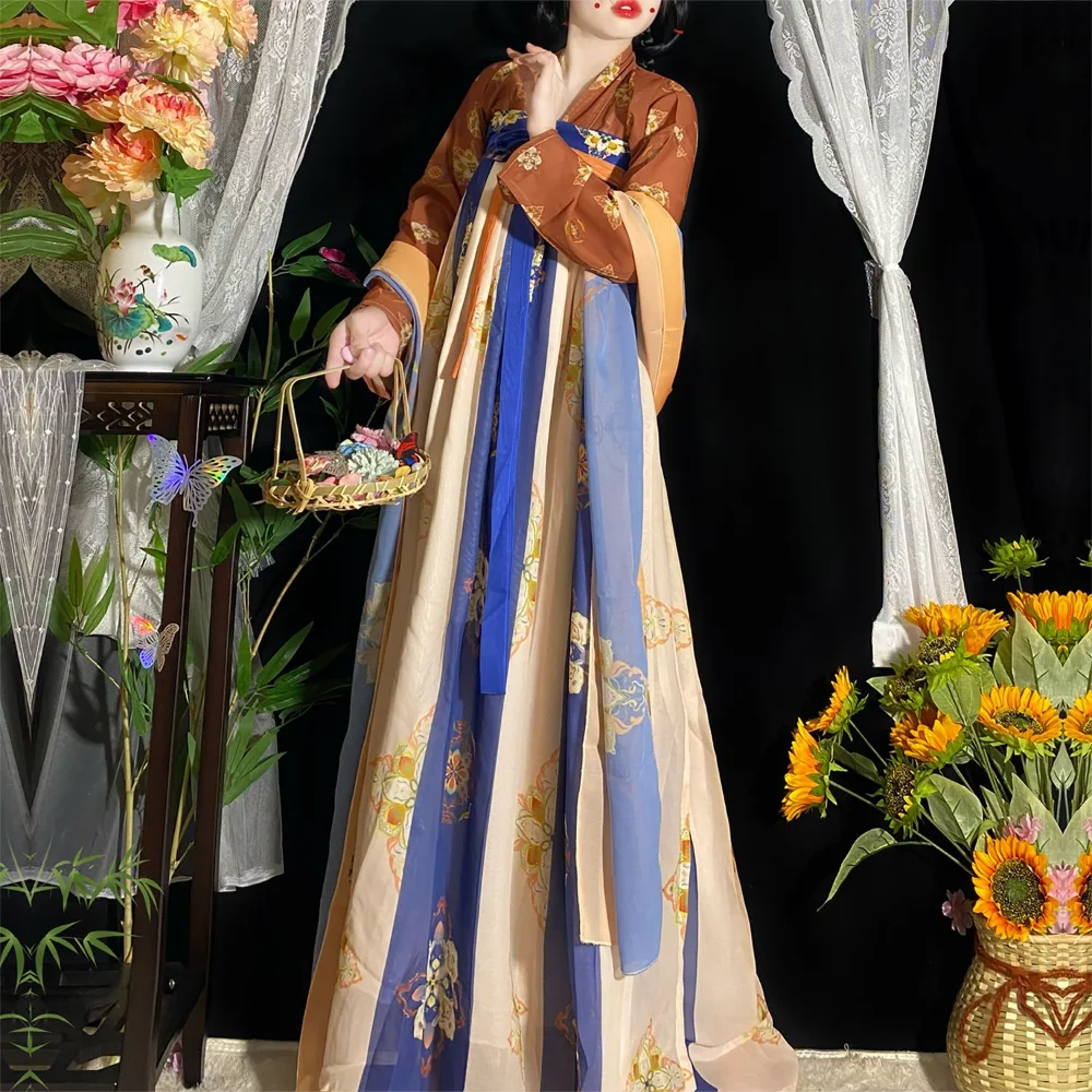 Original Tang Han Fu Chinese Ancient Costume Tanfu Chaina Traditional Dress Chinese Gown for Ladies Halloween Costumes China