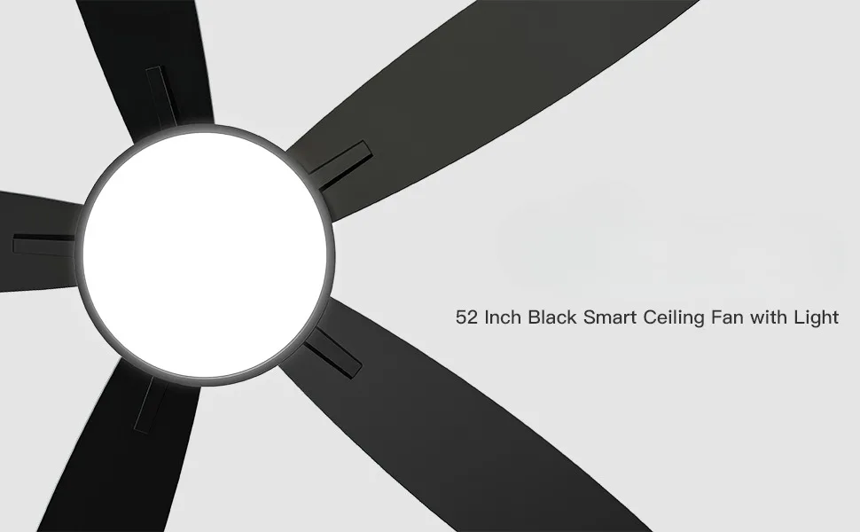 Smart Ceiling Fan
