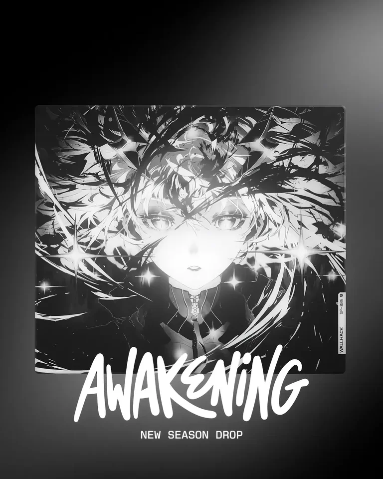 Wallhack SP-005 Awakening Sora 互換品 Wallhack SP-005 Awakening Sora 互換品 【公式通販】