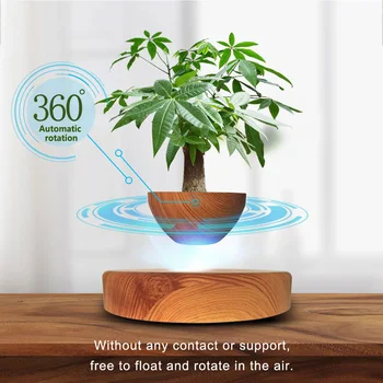 Floating Planter Home Ornament 1
