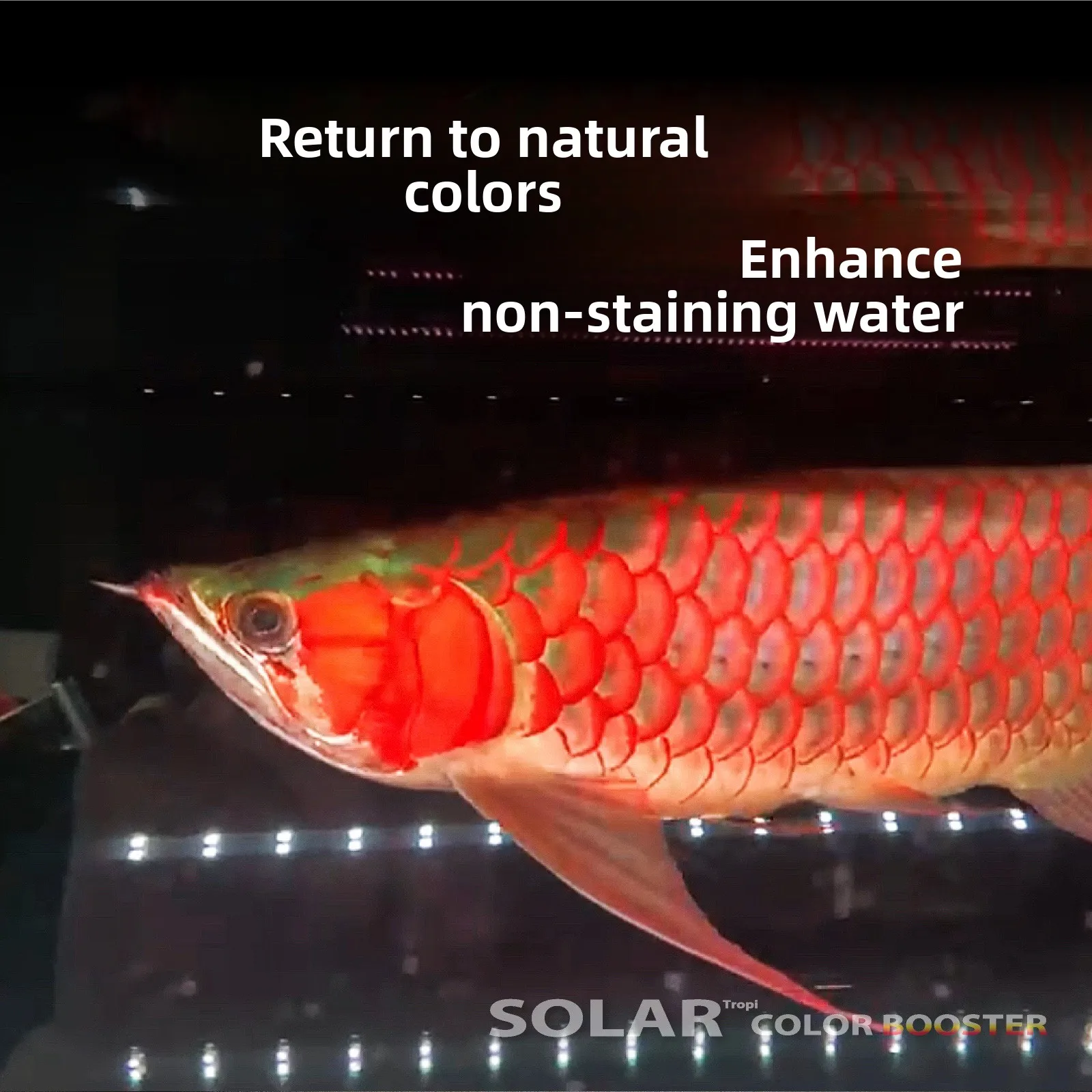 Color Enhance Aquarium Light 2