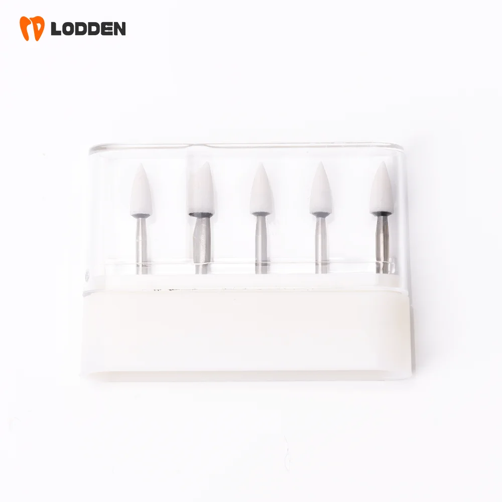 LODDEN 5 Stück Dental-Polierbohrer aus weißem Stein, Kegel-/Flammen-/runde Form, Abriebbohrer, FG zum Polieren, Füllen von Verbundwerkzeugen – Detail 2